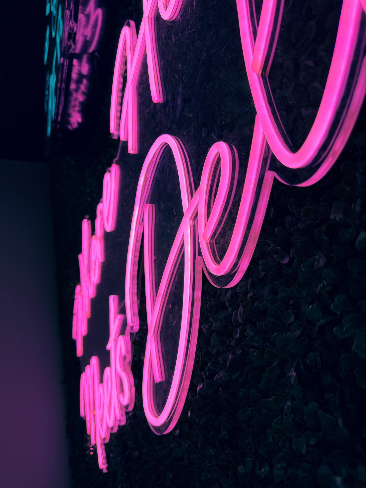 Aura Pro Neon Glow Strip Lights